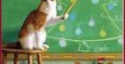 Christmas Lessons for Cats
